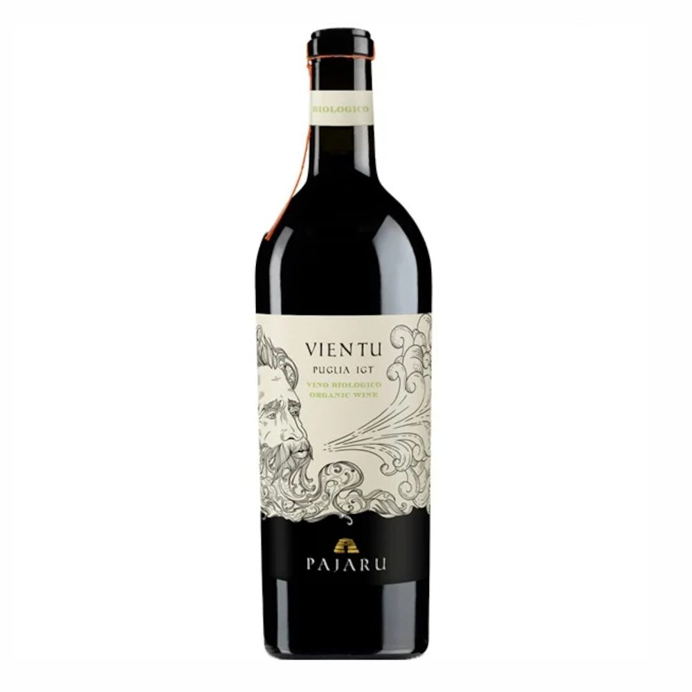 Wino Pajaru Appassimento Vientu IGT Puglia Organico 16% czerwone wytrawne 750 ml