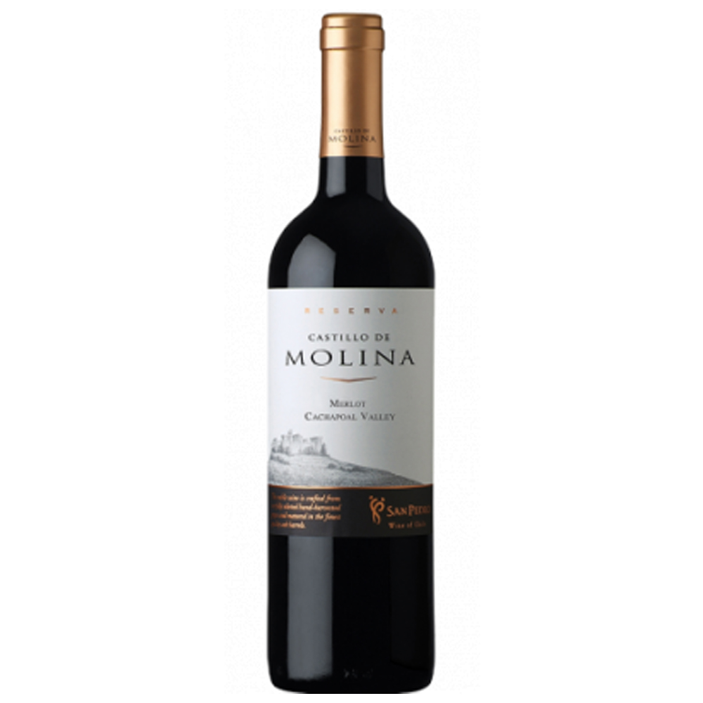 Wino Castillo De Molina Merlot  14% czerwone wytrawne 750 ml