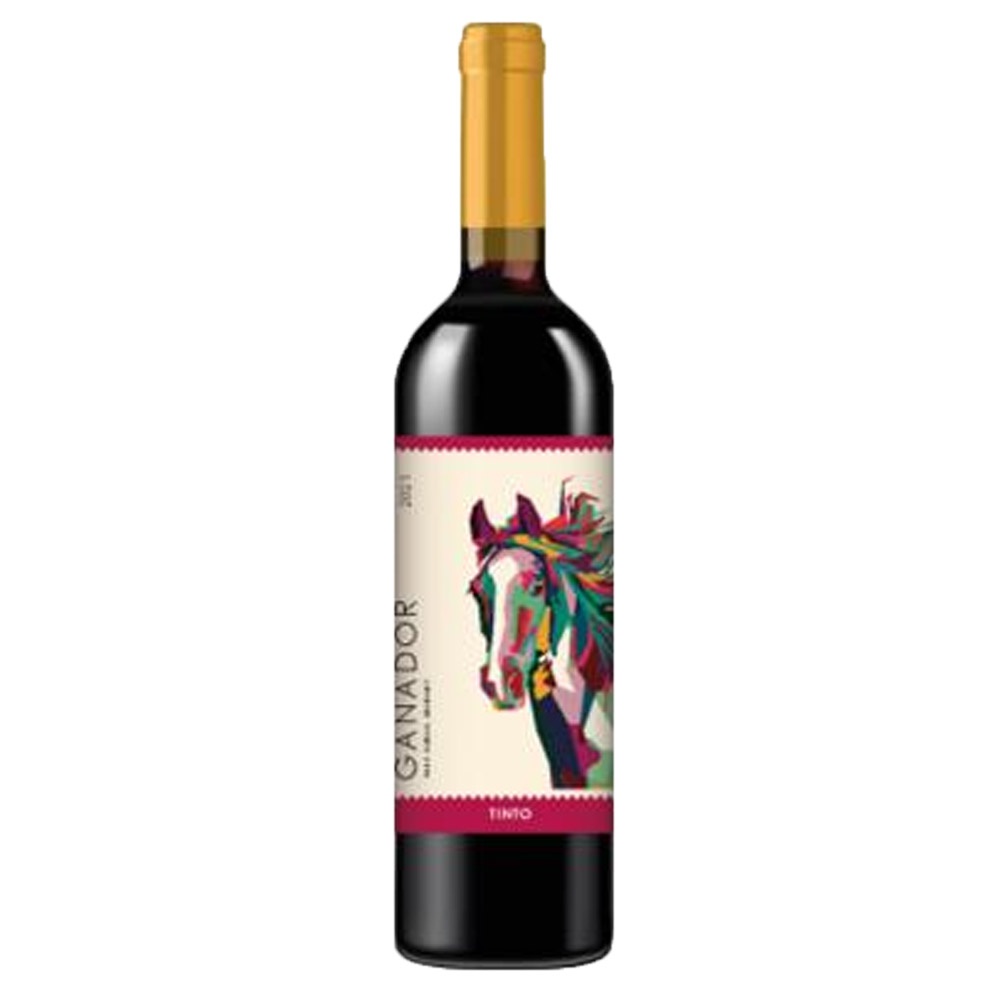 Wino Gandor Tinto Classic 2021 12,8% czerwone wytrawne 750 ml