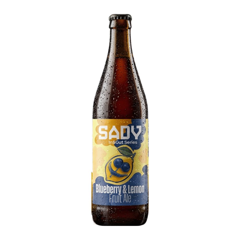 Piwo Sady In & Out Blueberry & Lemon 6,1% 500 ml