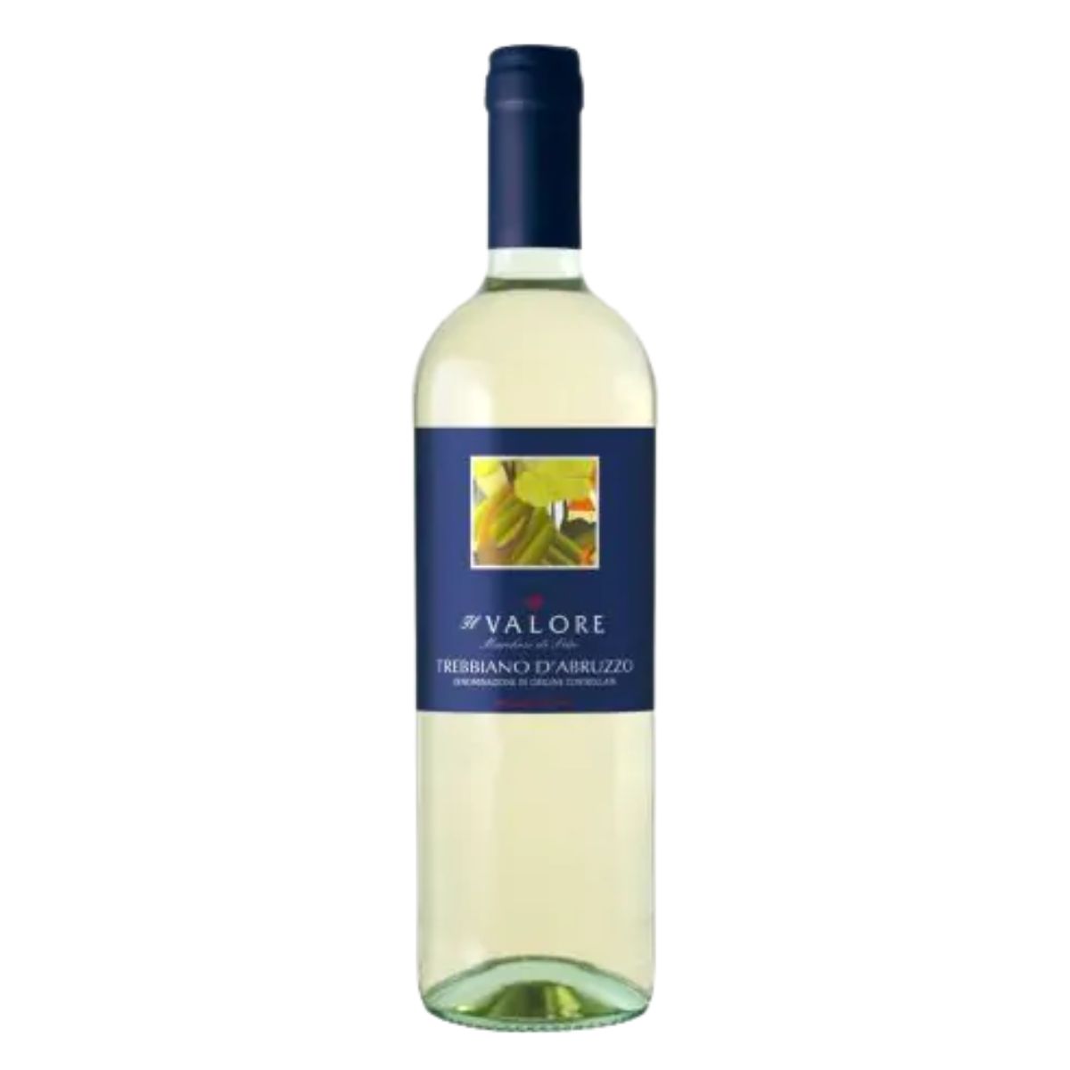 Wino Il Valore Trebbianoo Dabruzzo 12% 750 ml