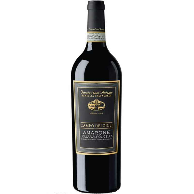 Wino Sant Antonio Campo Del Gigli Amarone wytrawne czerwone 16 % 750 ml