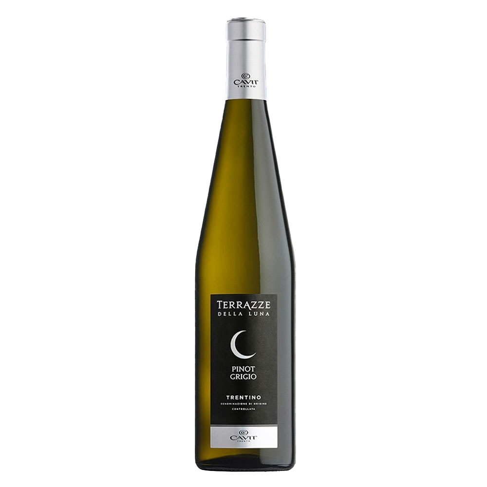 Wino Terrazze Della Luna Pinot Grigio 12,5% białe wytrawne 750 ml