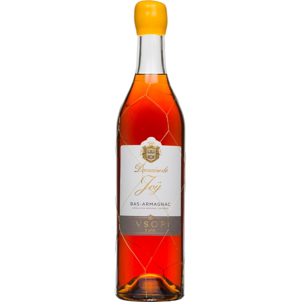 Brandy Domaine de Joy Bas-Armagnac VSOP 5 ans 40,5% 700 ml