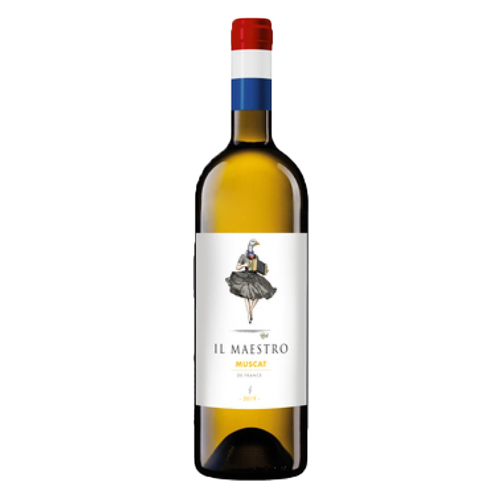 Wino Il Maestro Muscat 12,5% białe półsłodkie 750 ml
