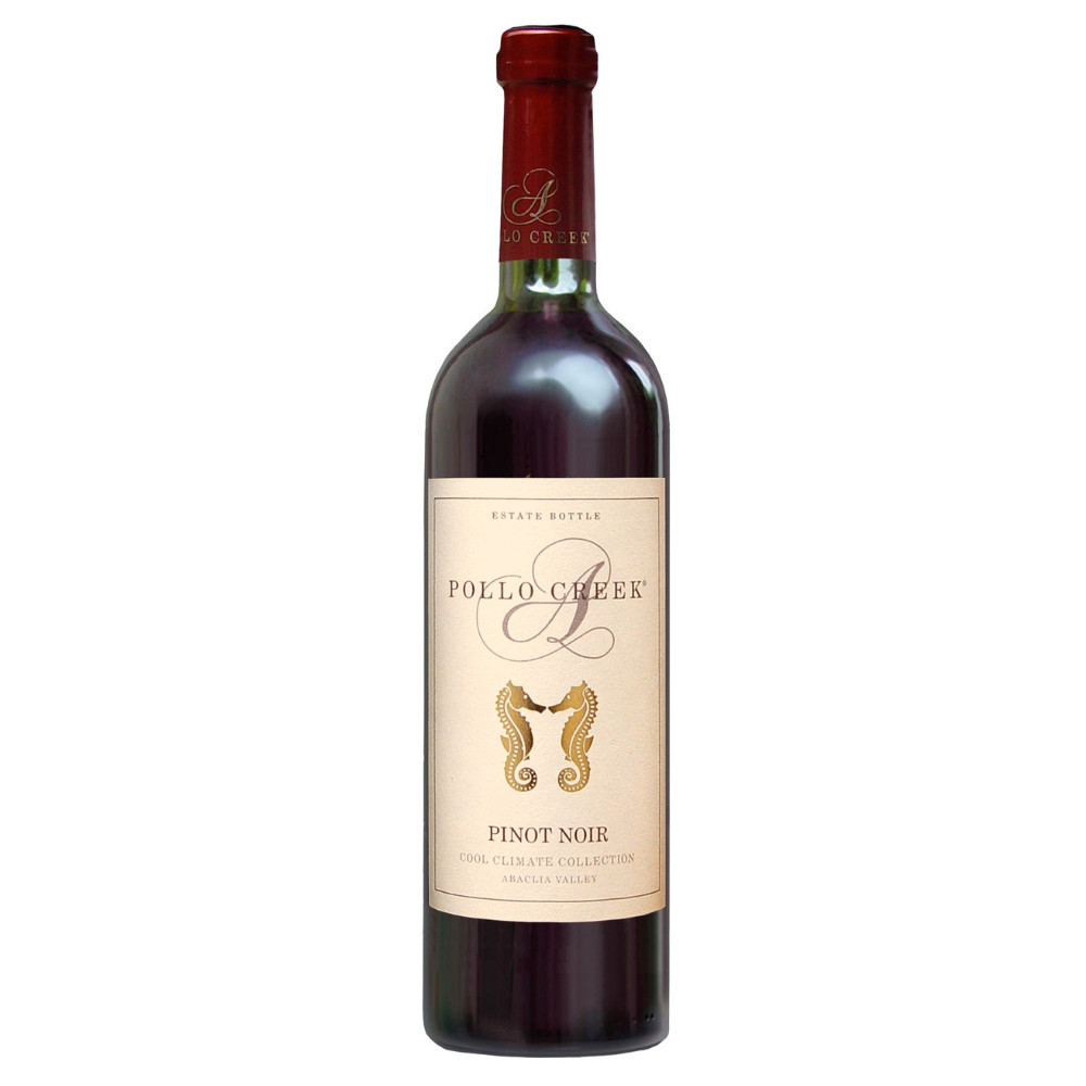 Wino Pollo Creek Pinot Noir 13% czerwone półwytrawne 750 ml