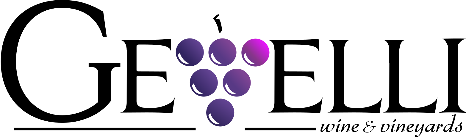 Gevelli International