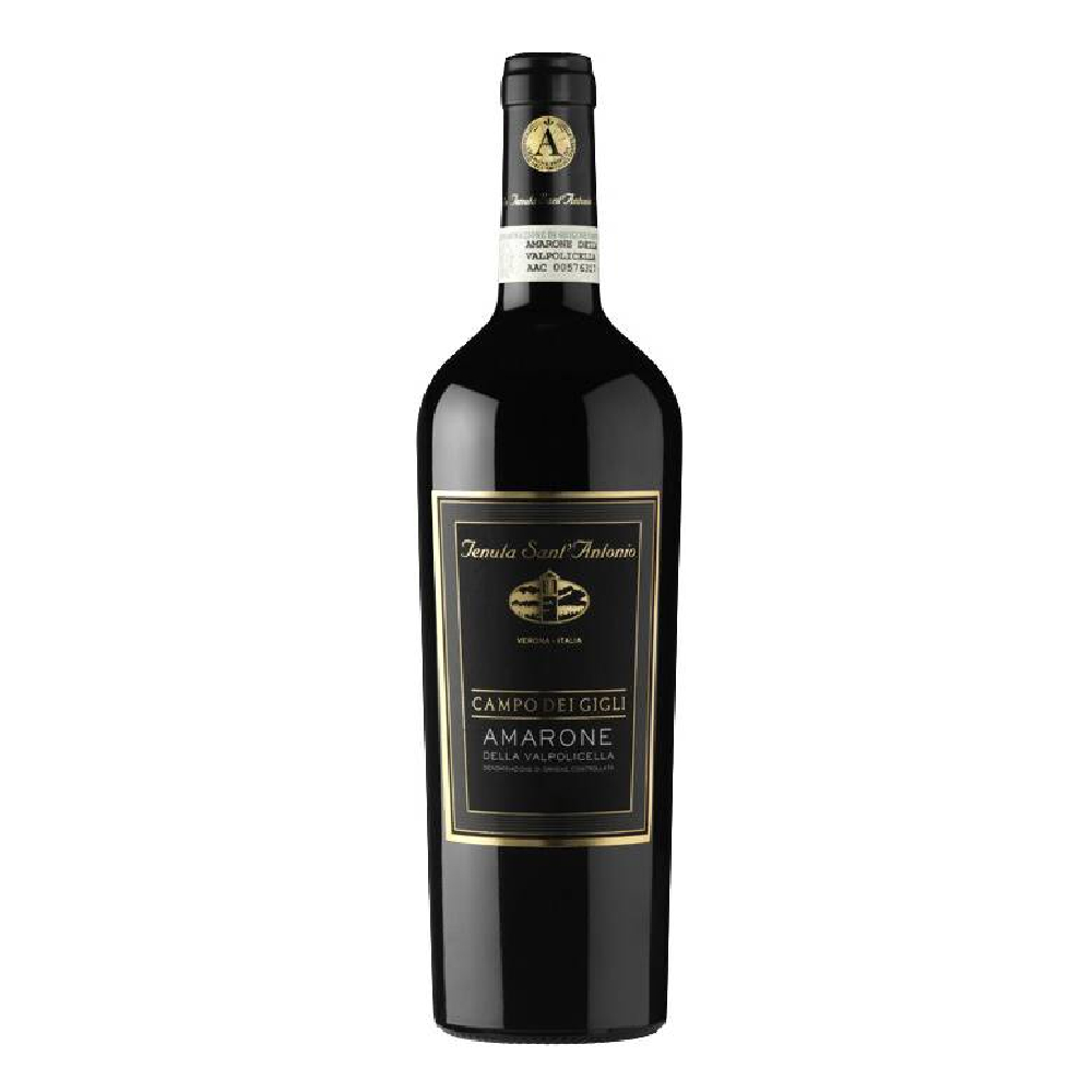Wino San't Antonio Amarone Campo dei Gigli czerwone wytrawne 750 ml