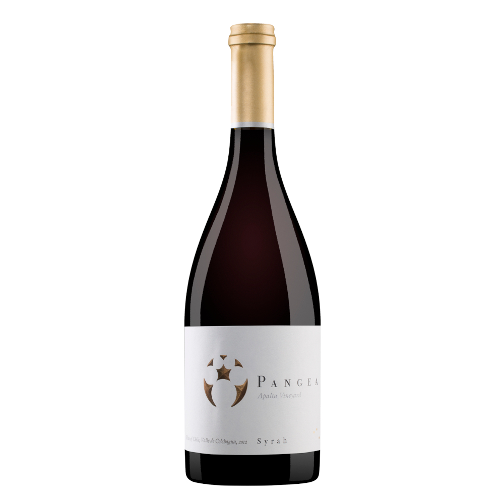 Wino Ventisquero 'Pangea' Syrah (Apalta Vineyard) 14,5% czerwone wytrawne 750 ml