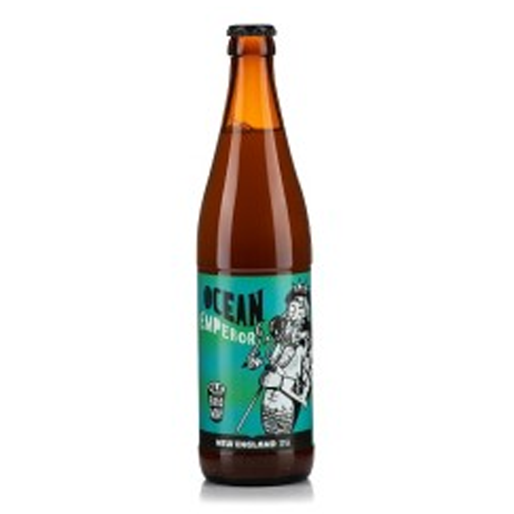 Piwo Zakładowy Gościnne Występy 6,6% 500 ml