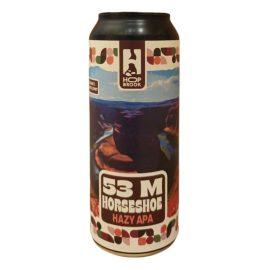 Piwo Hop Brook 53 M Horseshoe 4,1% 500 ml Puszka