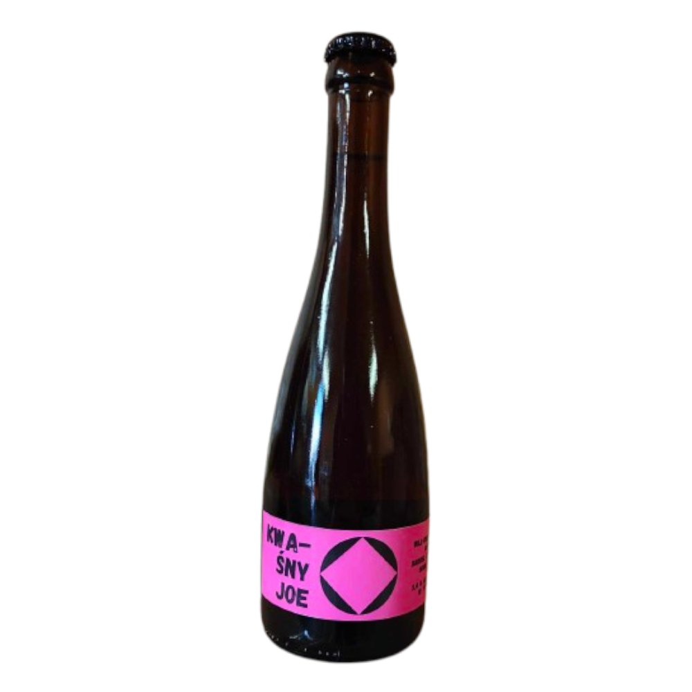 Piwo Kwaśny Joe Wild Sour Ale 5% 500 ml