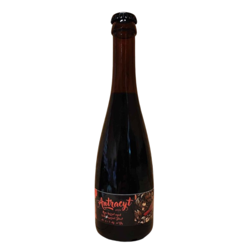 Piwo Gzub Antracyt Wild Rum Imperial Stout 10,5% 500 ml