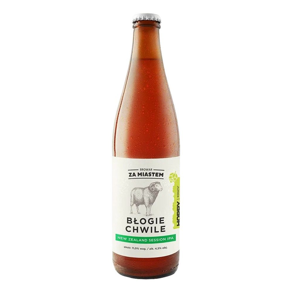 Piwo Za Miastem Bogie Chwile New Zealand Session IPA 4,5% 500 ml