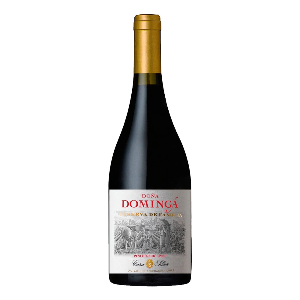 Wino Dona Dominga Reserva Pinot Noir 2022 14% czerwone wytrawne 750 ml