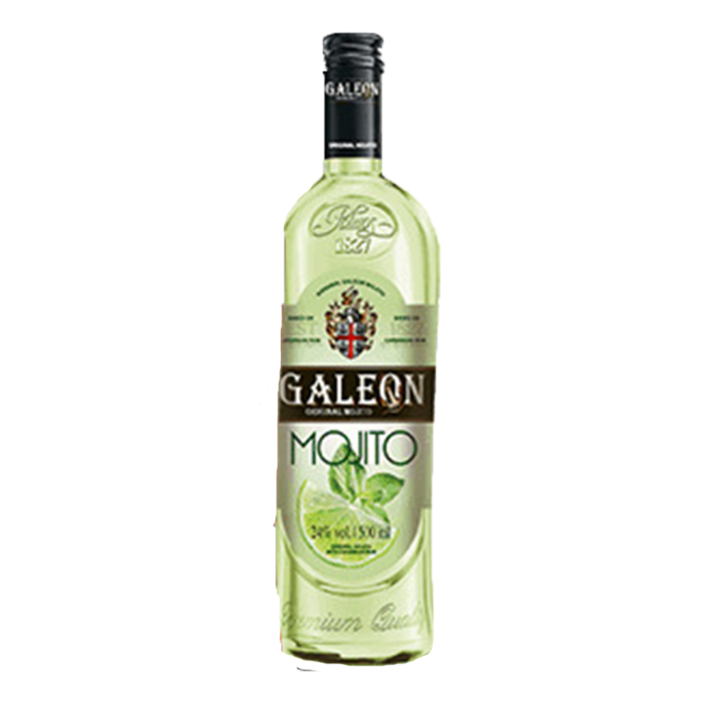 Drink Galeon Mojito 24% 500 ml