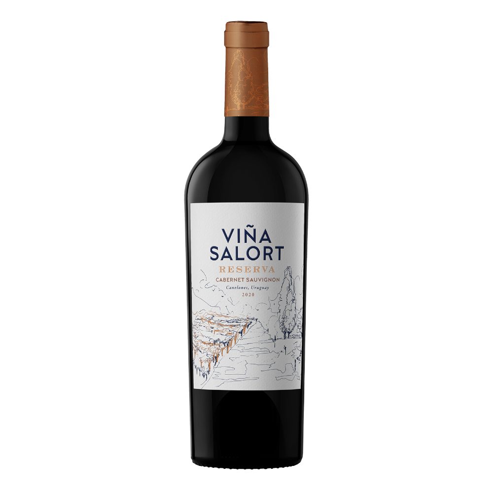 Wino Vina Salort Cabernet Sauvignon Reserva 2020 13,8% czerwone wytrawne 750 ml