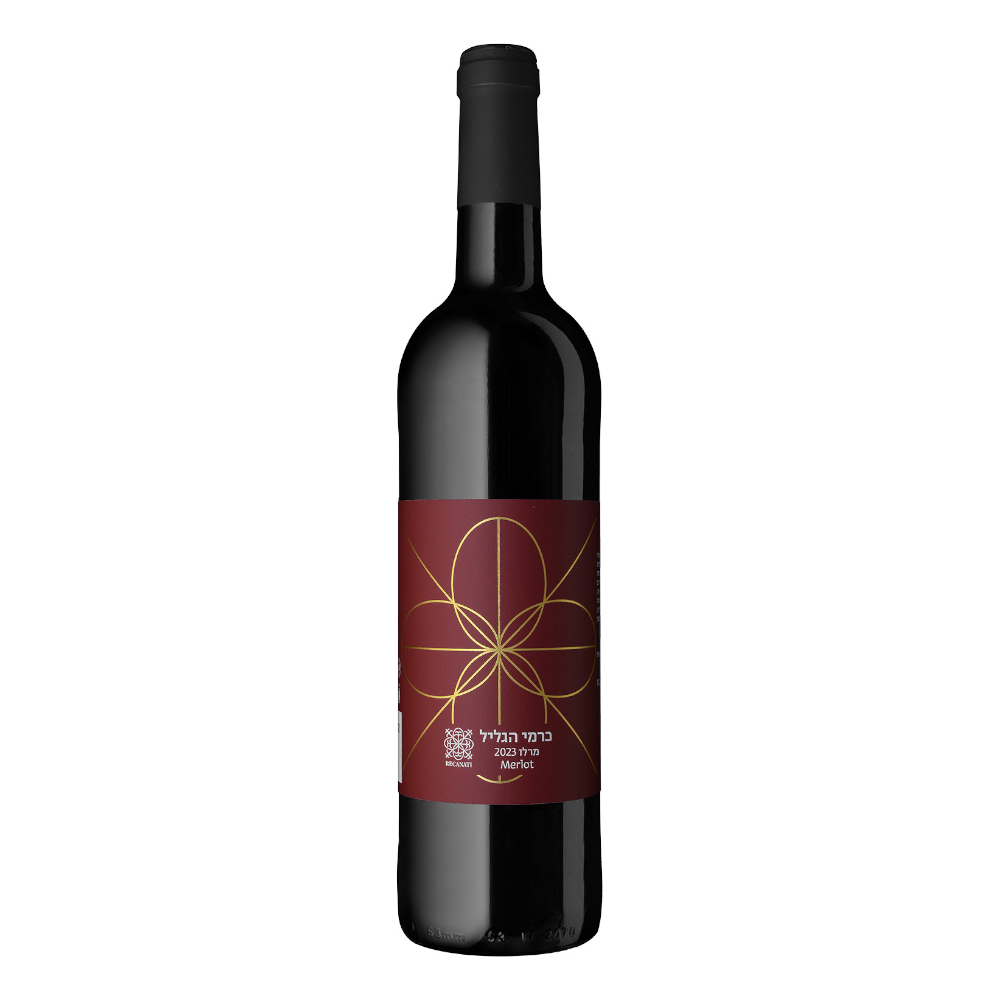 Wino Recanati Merlot 2021 13% czerwone wytrawne 750 ml