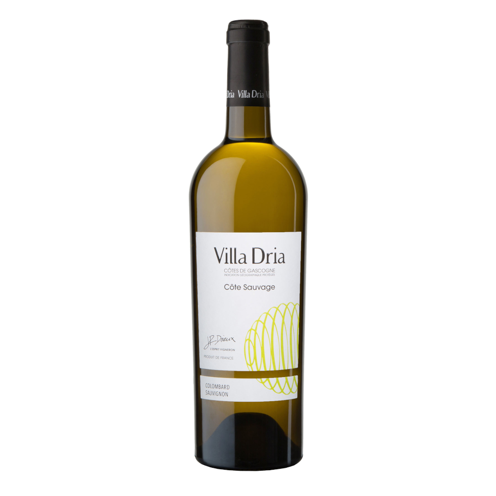Wino Villa Dria Colombard/Sauvignon 2023 11,5% białe wytrawne 750 ml
