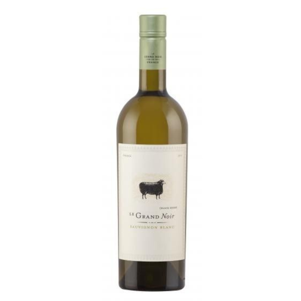 Wino Tim Le Grand Noir IGP pays D'OC Sauvignon Blanc 12,5% białe wytrawne 750 ml