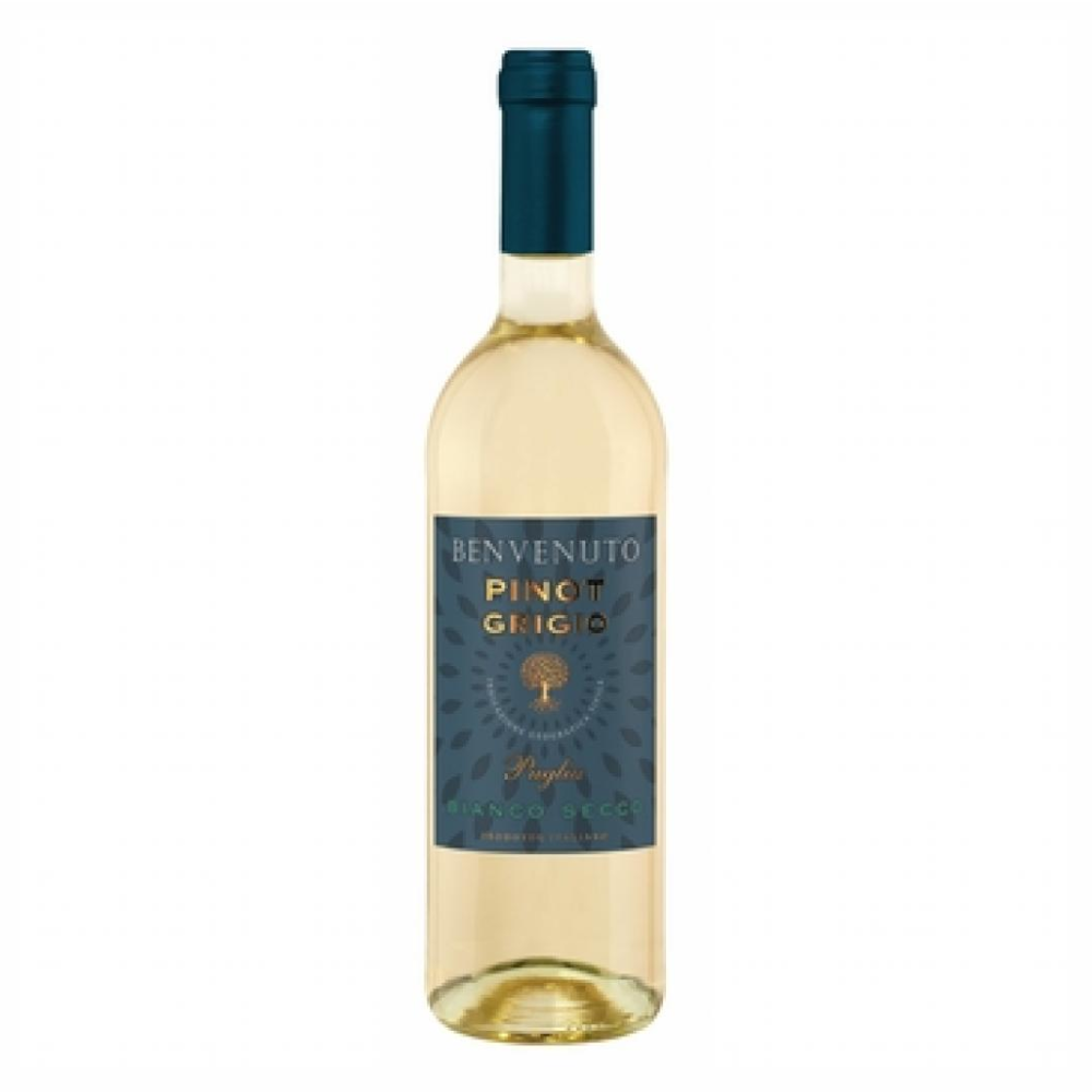 Wino Benvenuto Pinto Grigio białe wytrawne 12% 750 ml