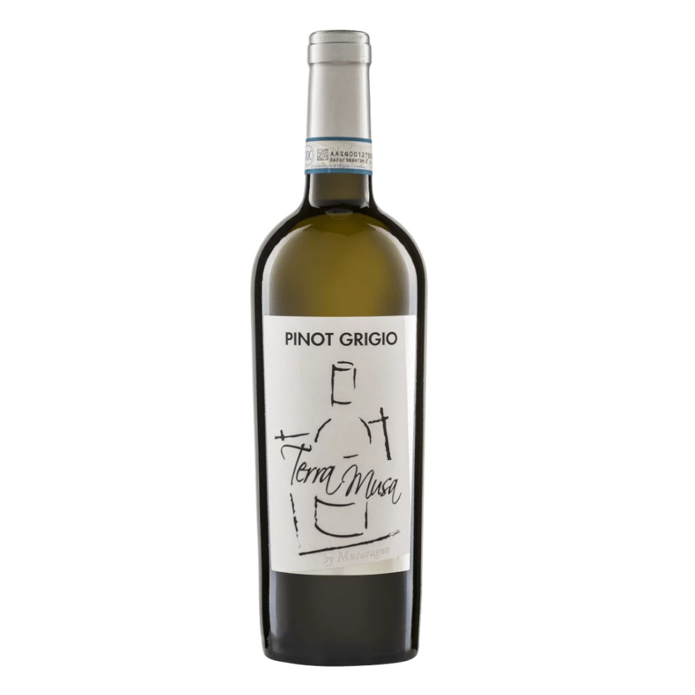 Wino Terra Pinot Grigio Venezia DOC 12,8% białe wytrawne 750 ml