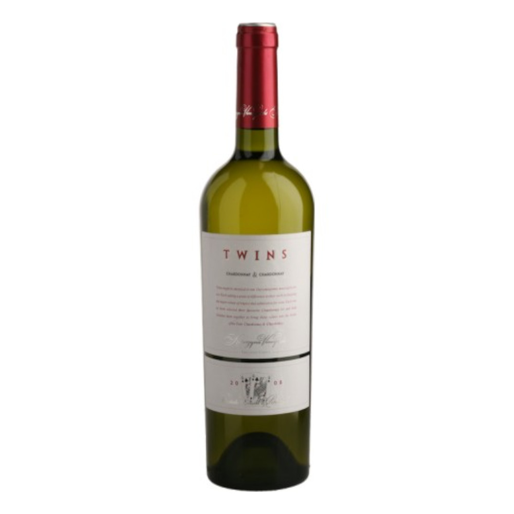 Wino Twins Chardonnay & Chardonnay 14% białe wytrawne 750 ml