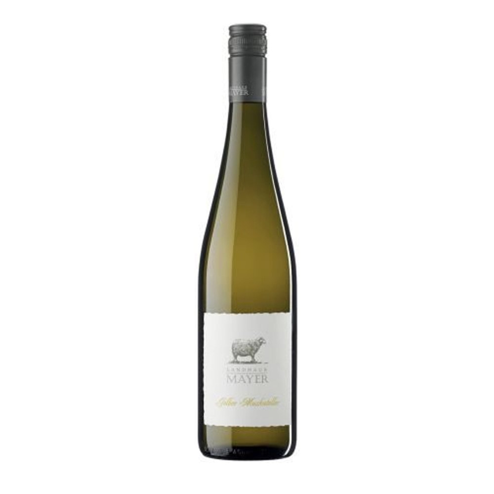 Wino MAyer LAndhaus Gelber Muskateler 2020 12,5% białe wytrawne 750 ml