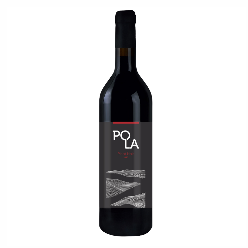 Wino Pola Pinot Noir 2020 12,5% czerwone wytrawne 750 ml