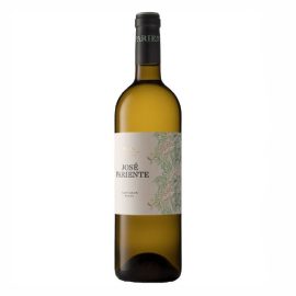 Wino Jose Pariente Sauvignon Blanc DO Rueda 12,5% białe wytrawne 750 ml