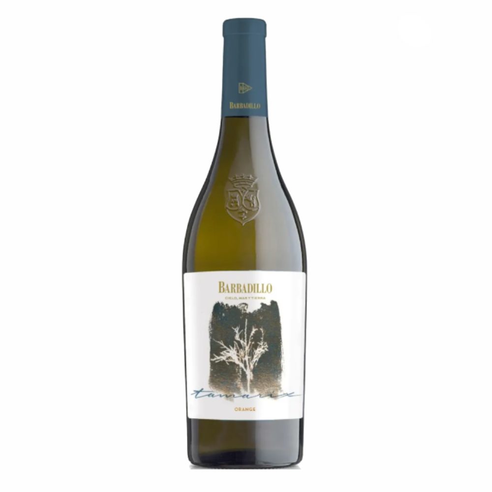 Wino Barbadillo Tamarix Organic 13% białe wytrawne 750 ml