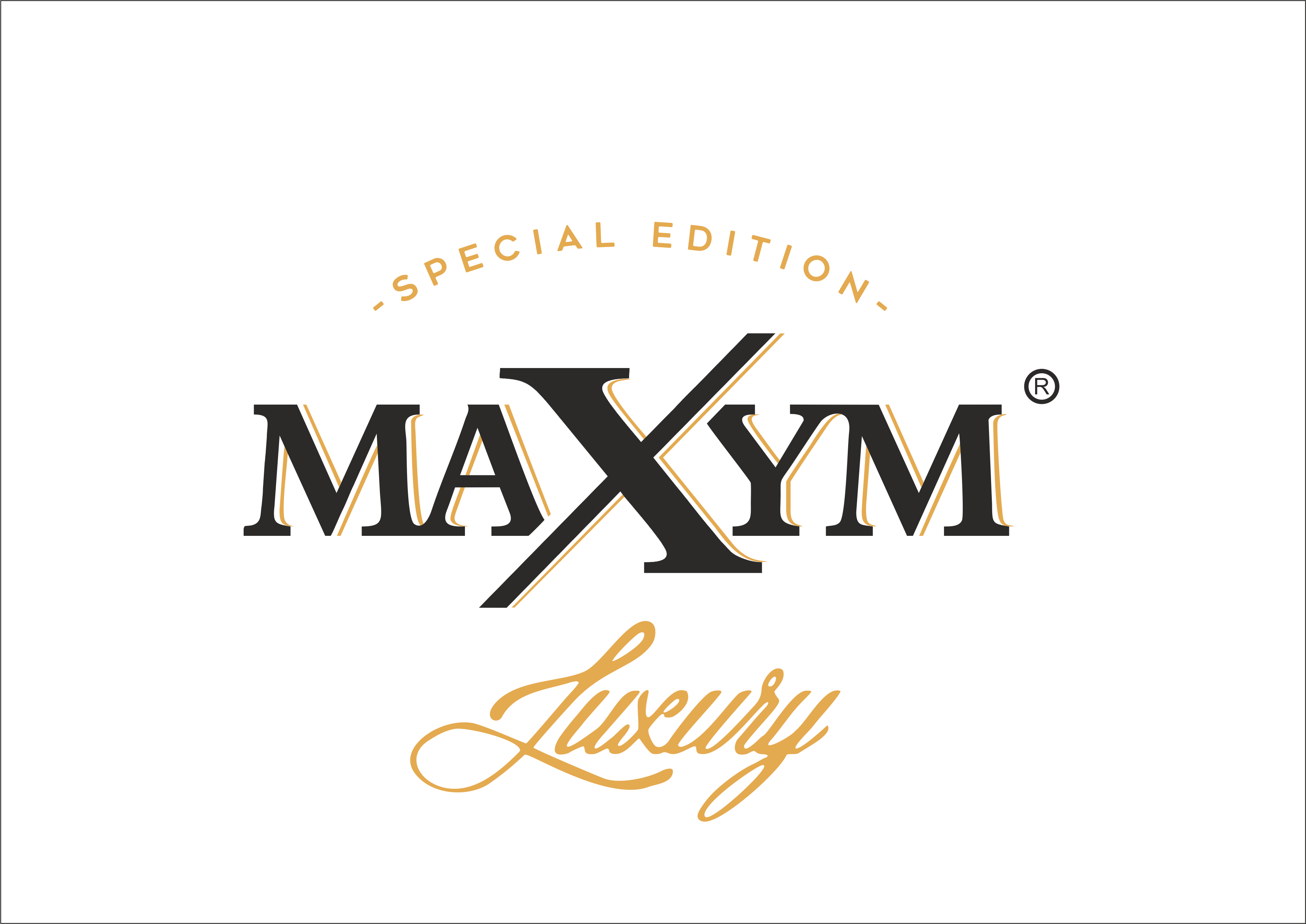 Maxym Group sp. z o.o.