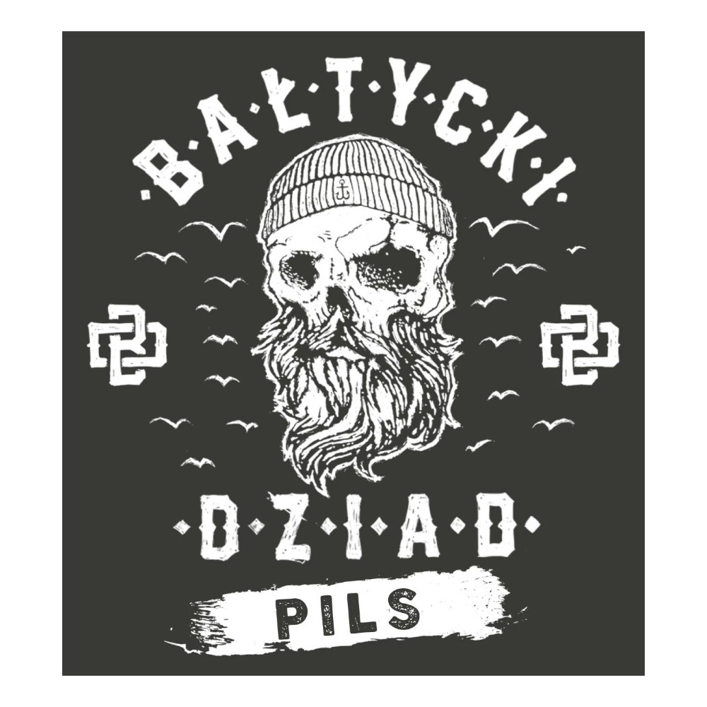 Piwo AleBrowar Bałtycki Dziad Pils 4,8% 1000 ml