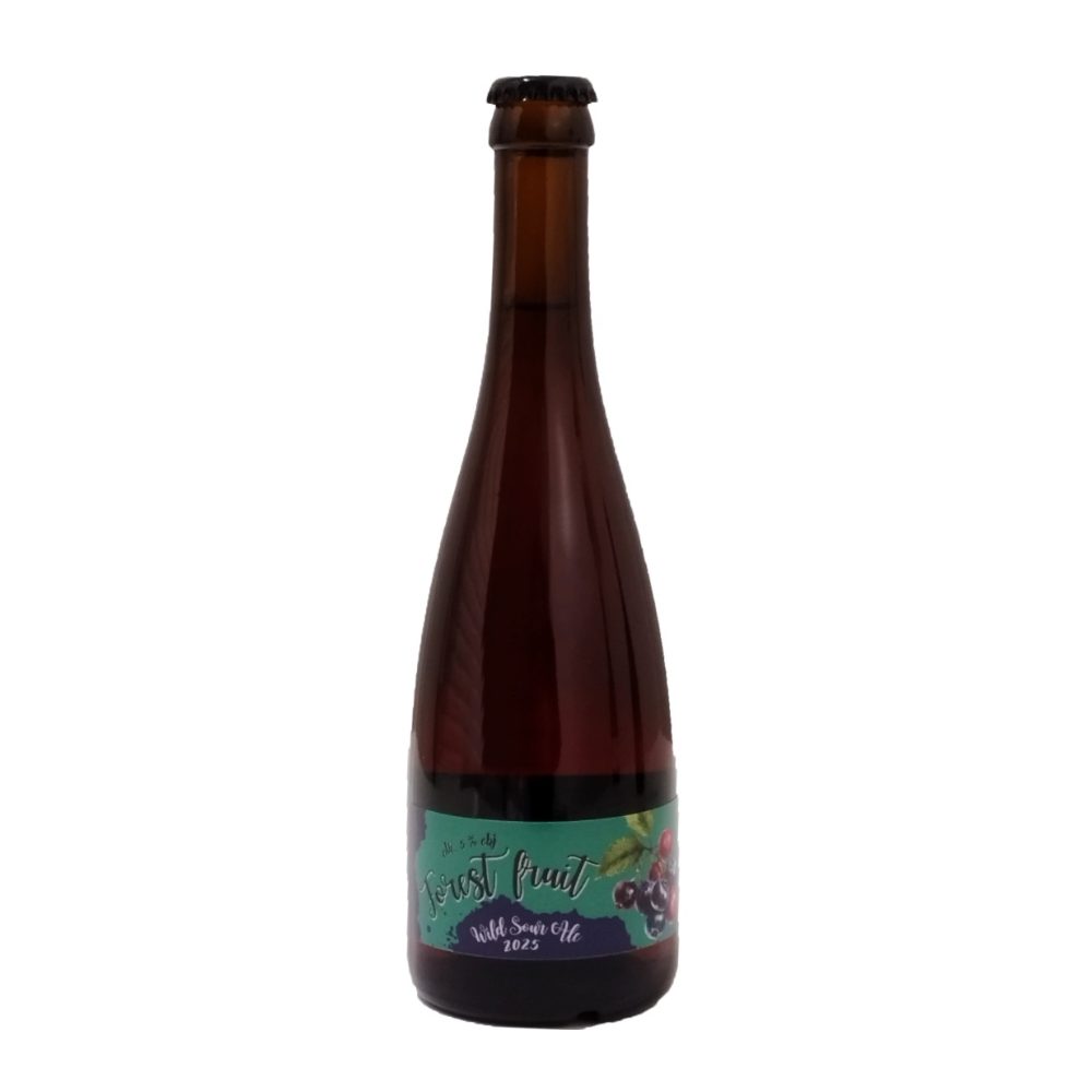 Piwo Browar Gzub Wild Sour Ale Forest Fruits 5% 500 ml