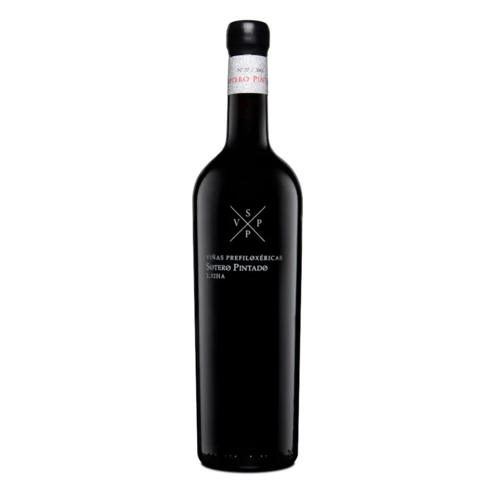 Wino Sotero Pintado Vinas Prefiloxericas 15% czerwone wytrawne 750 ml