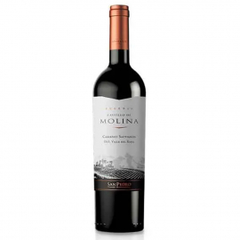 Wino Castillo De Molina Cabernet Sauvignon 14% czerwone wytrawne 750 ml