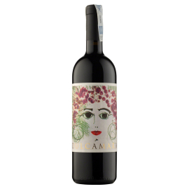 Wino Dulcamara 14% wytrawne czerwone 750 ml