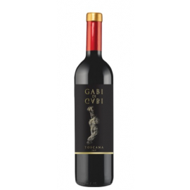 Wino Gabi Di Gabi Toscana Rosso wytrawne czerwone 13 % 750 ml
