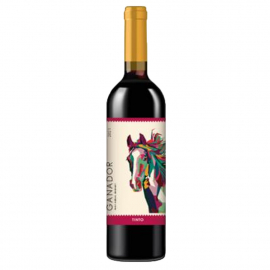 Wino Gandor Tinto Classic 2021 12,8% czerwone wytrawne 750 ml