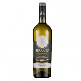 Wino Terrano Bianco 12% białe wytrawne 750 ml