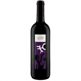 Wino Castro Regio Tinto 11% czerwone półsłodkie 750 ml