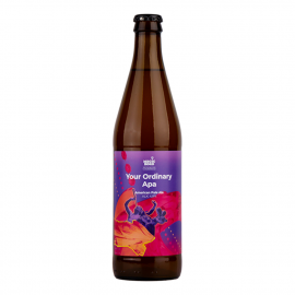 Piwo Magic Road Your Ordinary Apa 4,8% 500 ml