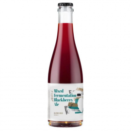 Piwo Stu Mostów Wild #22 Mixed Fermentation Blackberry Ale 7,1% 375 ml