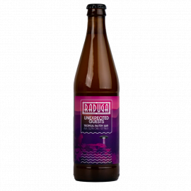 Piwo Raduga Unexpected Guests 5,2% 500 ml