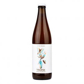 Piwo Cztery Ściany Tropik Double Mango 6,2% 500 ml
