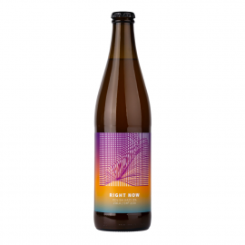 Piwo Maryensztadt Right Now 6% 500 ml