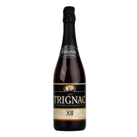 Piwo Kasteel Tripel 11%  330 ml