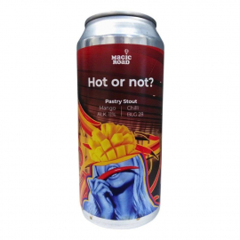 Piwo Hot or Not? 11% 440 ml