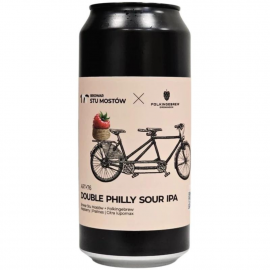 Piwo Stu Mostów Art+76 Double Philly Sour IPA 6,4% 440 ml Puszka