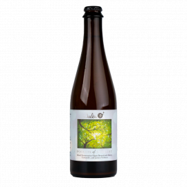Piwo Jackie O's Pockets of Sunlight 6,5% 500 ml